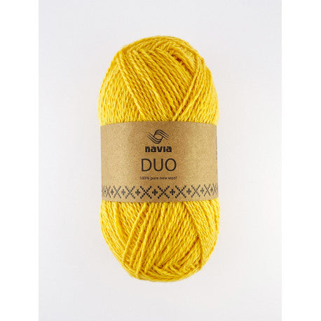 DUO - Daylily 275